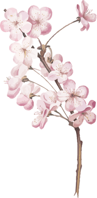 handdrawn-flower-vector-set-vintage-botanical-illustration-943619