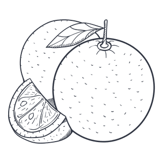 handdrawn-fruit-sketches-for-menus-and-packaging-191143