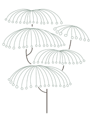 handdrawn-minimalist-tree-silhouette-illustration-4345