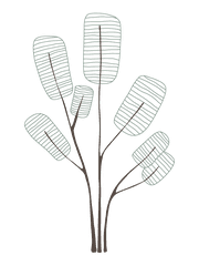 handdrawn-minimalist-tree-silhouette-illustration-986117