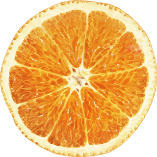 handdrawn-natural-fresh-oranges-288336