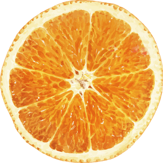 handdrawn-natural-fresh-oranges-952136