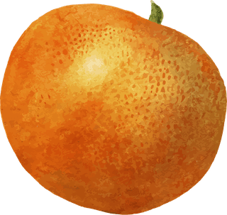handdrawn-natural-fresh-oranges-587751