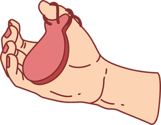 handholding-castanets-in-various-styles-can-be-downloaded-363954