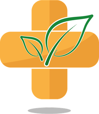 healthymedicine-logotypes-classic-orange-green-decor-203063