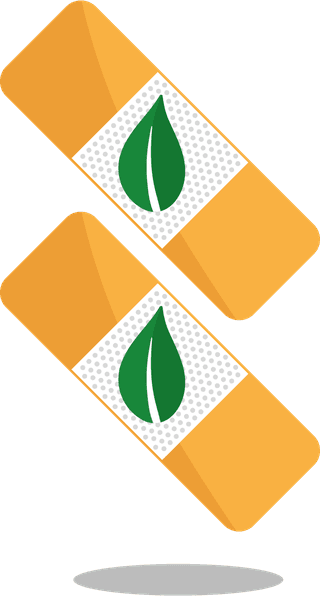 healthymedicine-logotypes-classic-orange-green-decor-615971