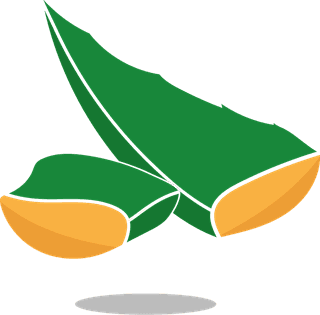healthymedicine-logotypes-classic-orange-green-decor-480180