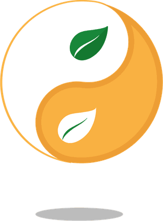healthymedicine-logotypes-classic-orange-green-decor-273796