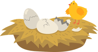 hencute-hens-roosters-set-669029