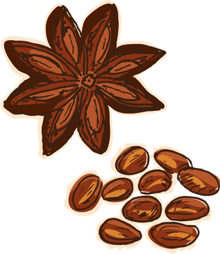 herbcolorful-sketch-healthy-spices-collection-116582