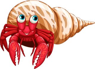 hermitcrab-cute-funny-different-kinds-of-sea-animals-illustration-971479