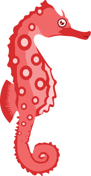 hippocampusmarine-animals-common-seafood-532733