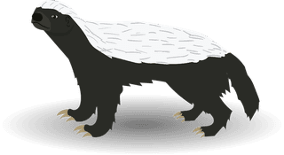 honeybadger-honey-badger-illustration-set-with-various-pose-210256