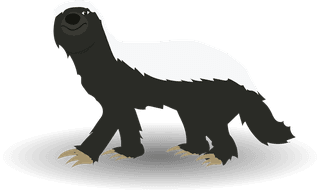 honeybadger-honey-badger-illustration-set-with-various-pose-62726