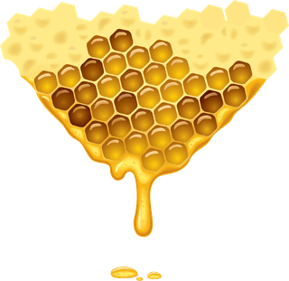 honeycombbee-honey-honeycomb-vector-403989