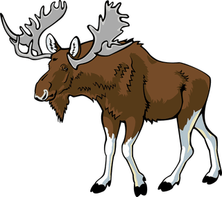 horndeer-different-type-of-wildlife-animals-on-white-background-illustration-898736
