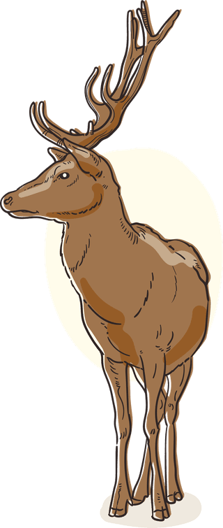 horndeer-hand-drawn-autumn-forest-animal-collection-847883
