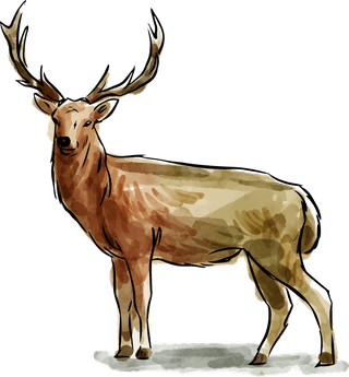 horndeer-set-hand-drawn-watercolor-forest-animals-243081