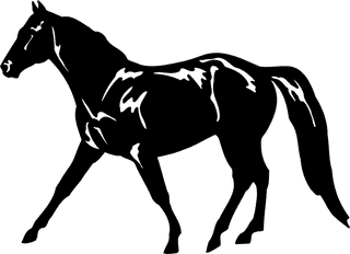 horseblack-and-white-horse-clip-art-pictures-104737