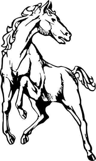 horseblack-and-white-horse-clip-art-pictures-333391