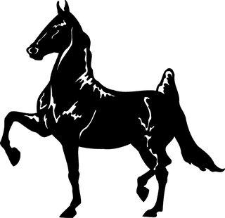 horseblack-and-white-horse-clip-art-pictures-870515