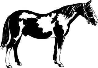 horseblack-and-white-horse-clip-art-pictures-912496