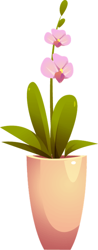 houseplants-flowers-pots-430190