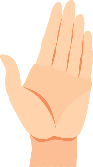humanhand-gestures-illustration-115673