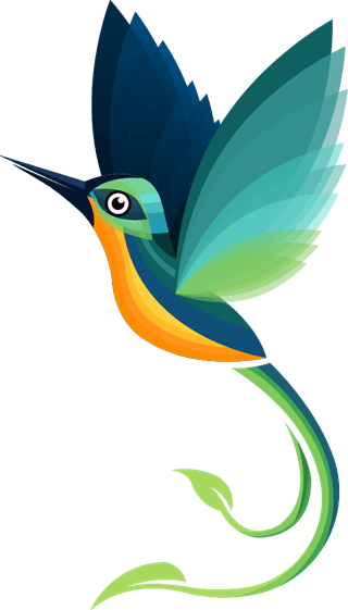 hummingbirdbirds-species-icons-colorful-flat-sketch-134125