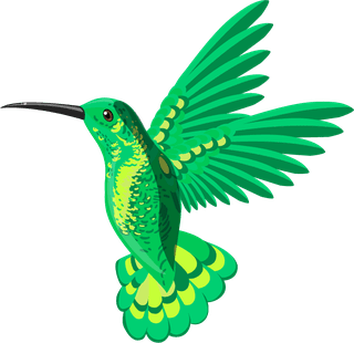 hummingbirdbirds-species-icons-colorful-parrots-woodpecker-sketch-849466