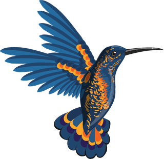 hummingbirdbirds-species-icons-colorful-sketch-464417