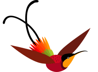 hummingbirdbirds-species-icons-colorful-sketch-modern-design-118735