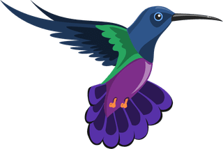 hummingbirdexotic-birds-set-579079