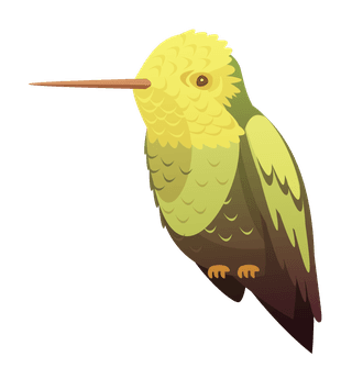 hummingbirdexotic-tropical-birds-retro-icons-set-197762