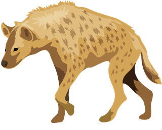hyenaswild-animal-icons-bear-koala-weasel-raccoon-symbols-304080