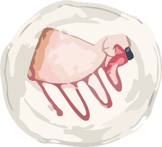 icecream-cake-sweets-matcha-vector-637831