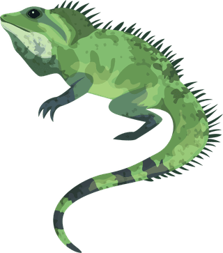 iguanaanimal-education-design-elements-python-frog-iguana-sketch-622112