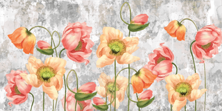 illustrationart-drawn-poppies-on-textured-gray-707228