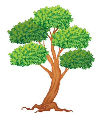 vecteezyillustration-of-a-of-many-trees-804993