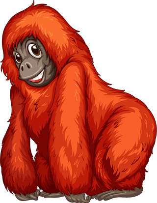illustrationof-many-orangutans-hanging-on-a-vine-476320