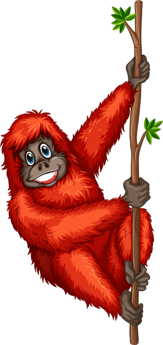 illustrationof-many-orangutans-hanging-on-a-vine-518401