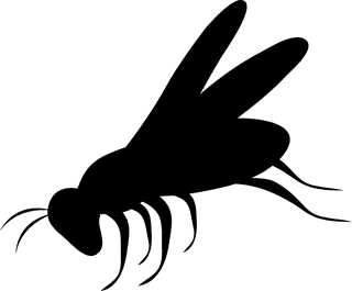 insectblack-insect-set-164039