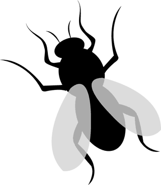 insectblack-insect-set-825499