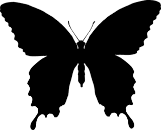 insectblack-insect-set-718817
