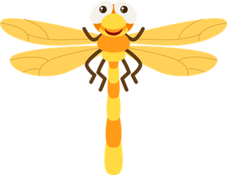 colorfulcartoon-style-insect-78564