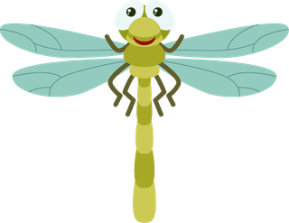 colorfulcartoon-style-insect-60214