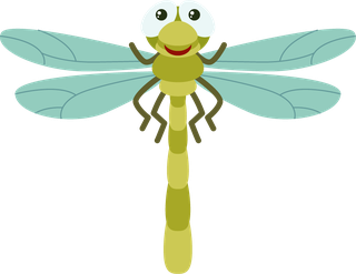 colorfulcartoon-style-insect-60214