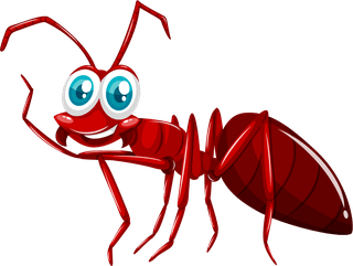 colorfulcartoon-style-insect-74949