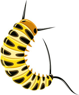 insectinsect-vector-cute-cartoon-502998