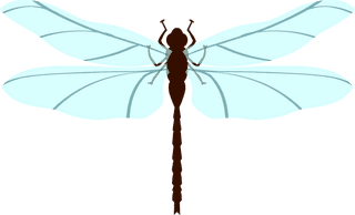 insectinsect-vector-cute-cartoon-748678